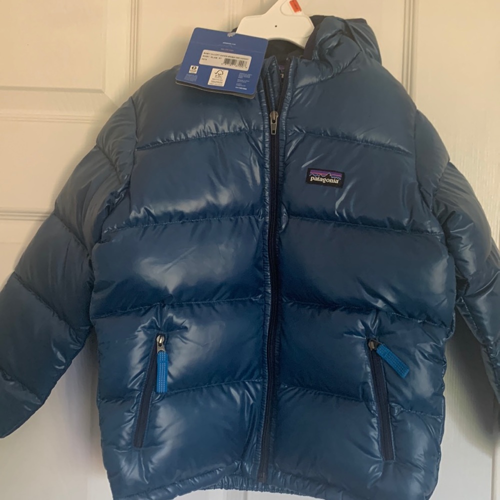 Hi-Loft Down Sweater Hoody